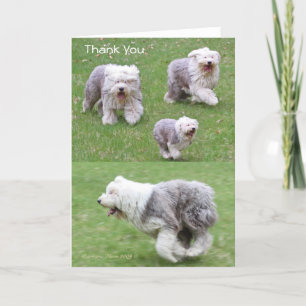 Joy is the Simplest form of Gratitude. Thank You Card