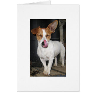 Joy Licking Her Chops