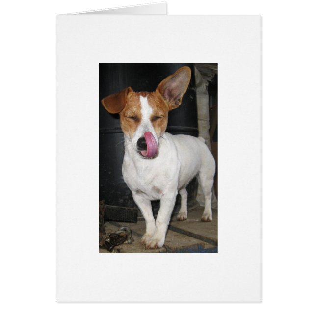 Joy Licking Her Chops (Front)