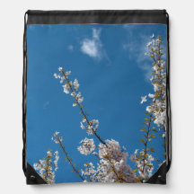 Joy of life! Spring cherry blossom branches