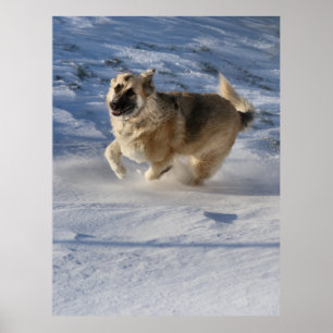 Joy on motion poster