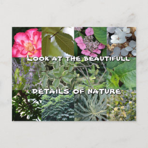 joy text flower green leaf spring postcard