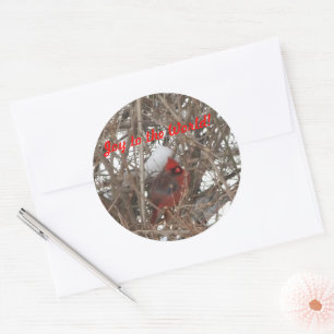 Joy to the World Red Male Cardinal Stickers