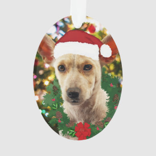 Joy to thee Puppy Ornament