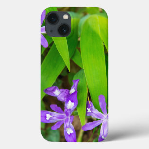 Joyce Kilmer-Slickrock Wilderness 2 iPhone 13 Case