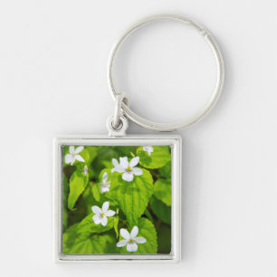 Joyce Kilmer-Slickrock Wilderness Keychain