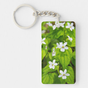 Joyce Kilmer-Slickrock Wilderness Keychain