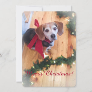Joyeuse carte Beagle de Noël
