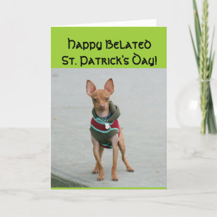 Joyeuse carte Belated St Patrick jour Chihuahua