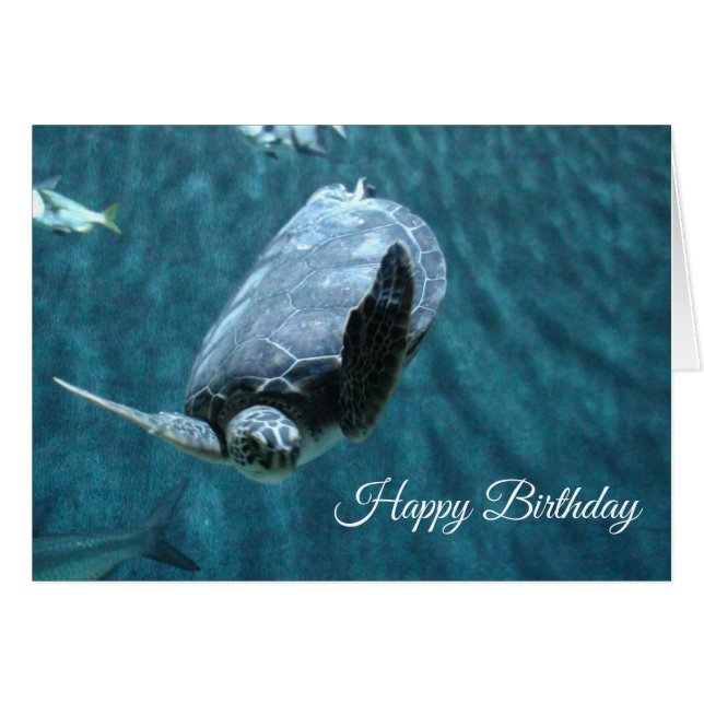 Joyeuse carte d'anniversaire de la tortue et du re (Devant horizontal)
