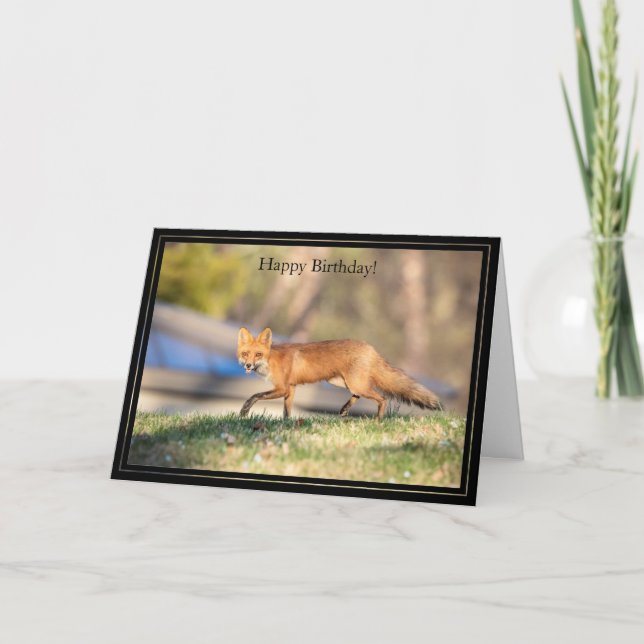 Joyeuse carte d'anniversaire Renard rouge (Devant)