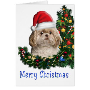 Joyeuse carte de chien de Noël