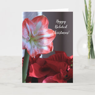 Joyeuse carte de fleur de Noël Amaryllis
