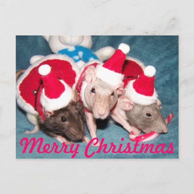 Joyeuse carte de Noël (Devant)