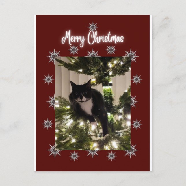 Joyeuse carte de Noël avec Tuxedo cat sur mon arbr (Devant)
