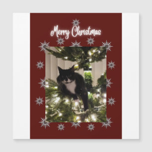 Joyeuse carte de Noël avec Tuxedo cat sur mon arbr