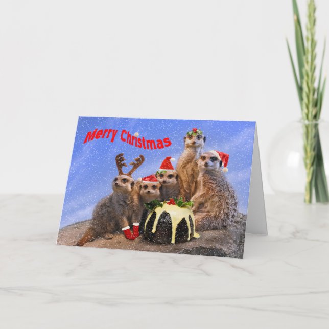 Joyeuse carte de Noël de Meerkats (Devant)