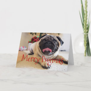 Joyeuse carte de Noël Pugmas
