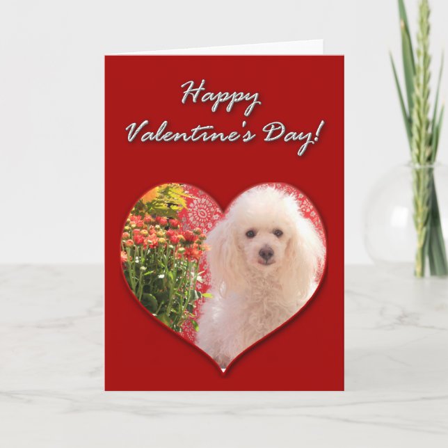 Joyeuse carte de Saint-Valentin Caniche (Devant)