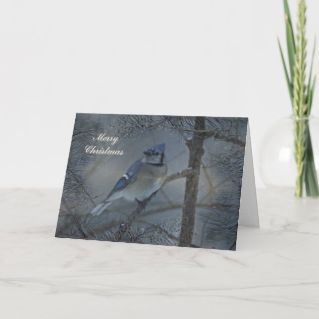 Joyeuse carte de voeux de Noël - Jay bleu en neige (Devant)