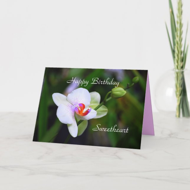 Joyeuse carte d'orchidée Phalaenopsis Anniversaire (Devant)