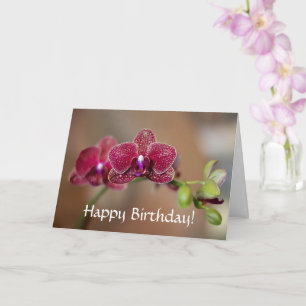Joyeuse carte d'orchidée rouge