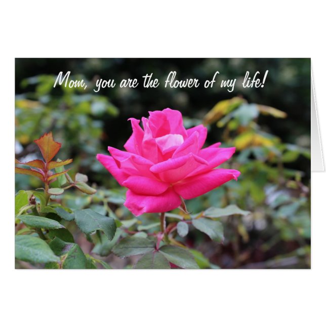 Joyeuse fête des mères (Devant horizontal)