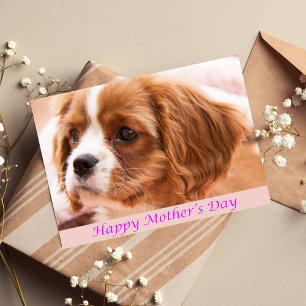 Joyeuse fête des mères Puppy CKCS Carte