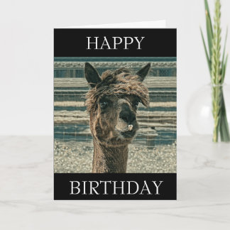 Joyeuse Llama d'anniversaire - Carte d'anniversair