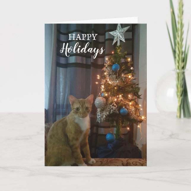 Joyeuses fêtes Carte de Noël de Cheeto Dacutecat. (Devant)