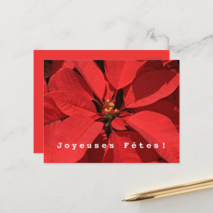Joyeuses Fêtes Happy Holidays in French Holiday Postcard