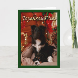 Joyeuses Fetes Holiday Card