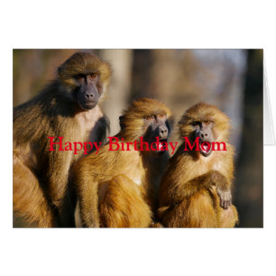 Joyeux Amour d'anniversaire de vos singes Fun Anim