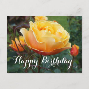 Joyeux Anniversaire À propos de Face Rose #2 Carte