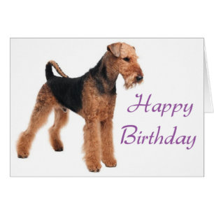 Joyeux anniversaire Airedale Terrier Chien pourpre