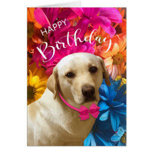 Joyeux anniversaire, animal de compagnie, chien, j
