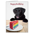 Joyeux anniversaire Black Labrador Retriever - mig