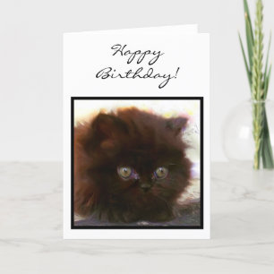 Joyeux anniversaire Black Persian Kitten carte de 