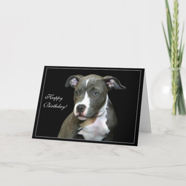 Joyeux Anniversaire bleu Pitbull Puppy carte de vo (Devant)