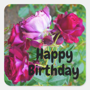 Joyeux Anniversaire bleu sauvage Rose no 1 Sticker