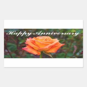 Joyeux Anniversaire Caraïbes Rose #2 Stickers