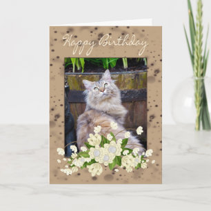 Joyeux Anniversaire, Carte Anniversaire Avec Chat,