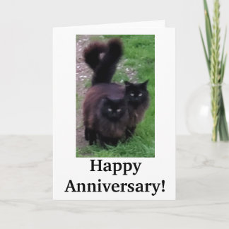 Joyeux Anniversaire Carte de Chat