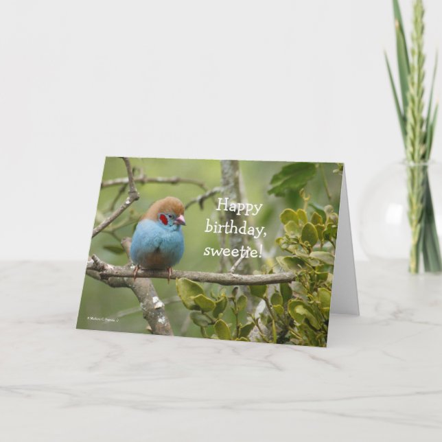 Joyeux anniversaire, carte de voeux de bonbon (Devant)