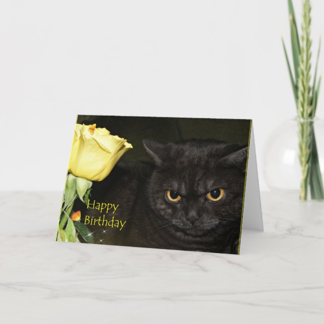 Joyeux anniversaire - carte de voeux de chat de (Devant)