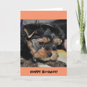 Joyeux anniversaire ! Carte de voeux Yorkshire Ter