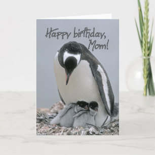 Joyeux anniversaire, carte mère