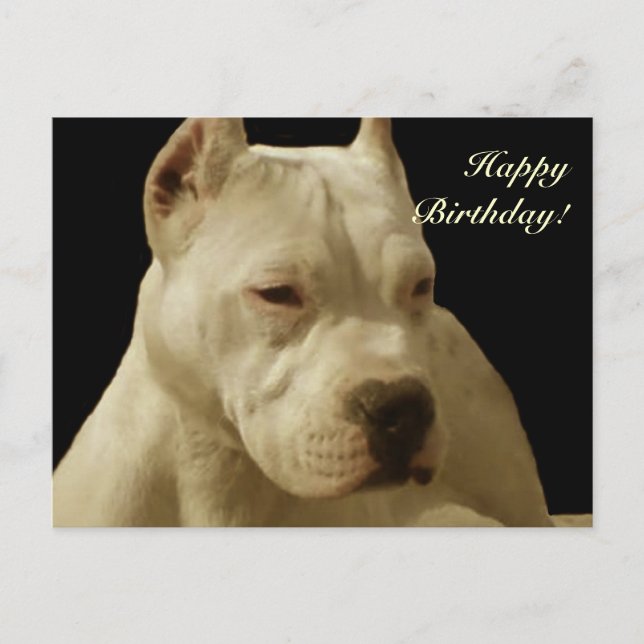 Joyeux Anniversaire Carte postale blanche (Devant)