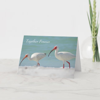 Joyeux Anniversaire Carte Pretty Bird