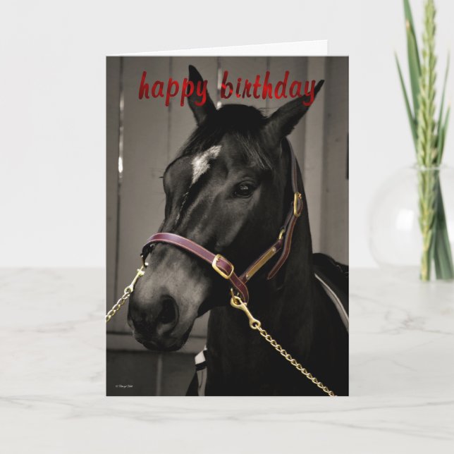 Joyeux Anniversaire Cheval Carte Anniversaire Chev (Devant)